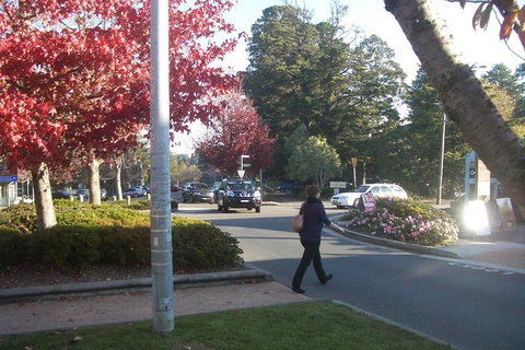 All-Day Blue Mountains Private Tour With Professional Guide For Up To 4 People - Perth Resorts 12