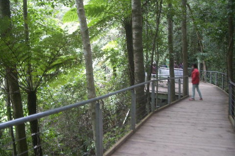 All-Day Blue Mountains Private Tour With Professional Guide For Up To 4 People - Perth Resorts 20