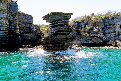 Jervis Bay Passage Tour - Accommodation Perth 15
