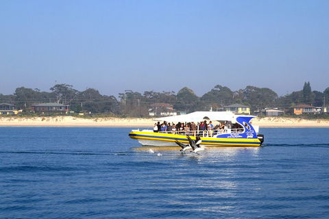 Jervis Bay Passage Tour - Accommodation Perth 16