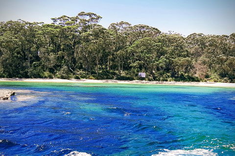 Jervis Bay Passage Tour - Accommodation Perth 6