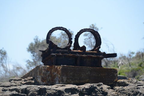Jervis Bay Passage Tour - Accommodation Perth 4