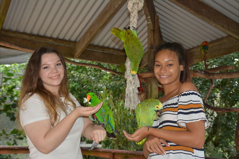 Birdworld Kuranda - Perth Resorts 0