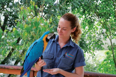 Birdworld Kuranda - Perth Resorts 1