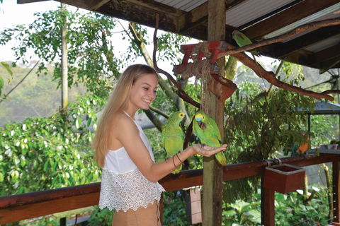 Birdworld Kuranda - Perth Resorts 2