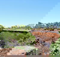 Bladensburg National Park - Accommodation Perth