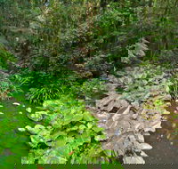 Brindle Creek Walking Track - Accommodation Perth