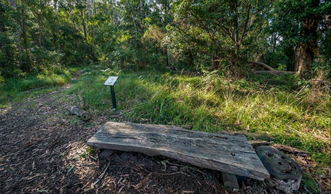 Browns Forest Loop Trail - Accommodation Perth 0