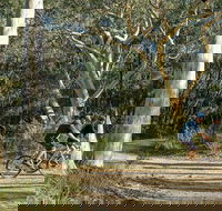 Bundanoon cycling route - Accommodation Perth