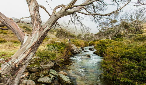 Dead Horse Gap Walking Track - Accommodation Perth 0