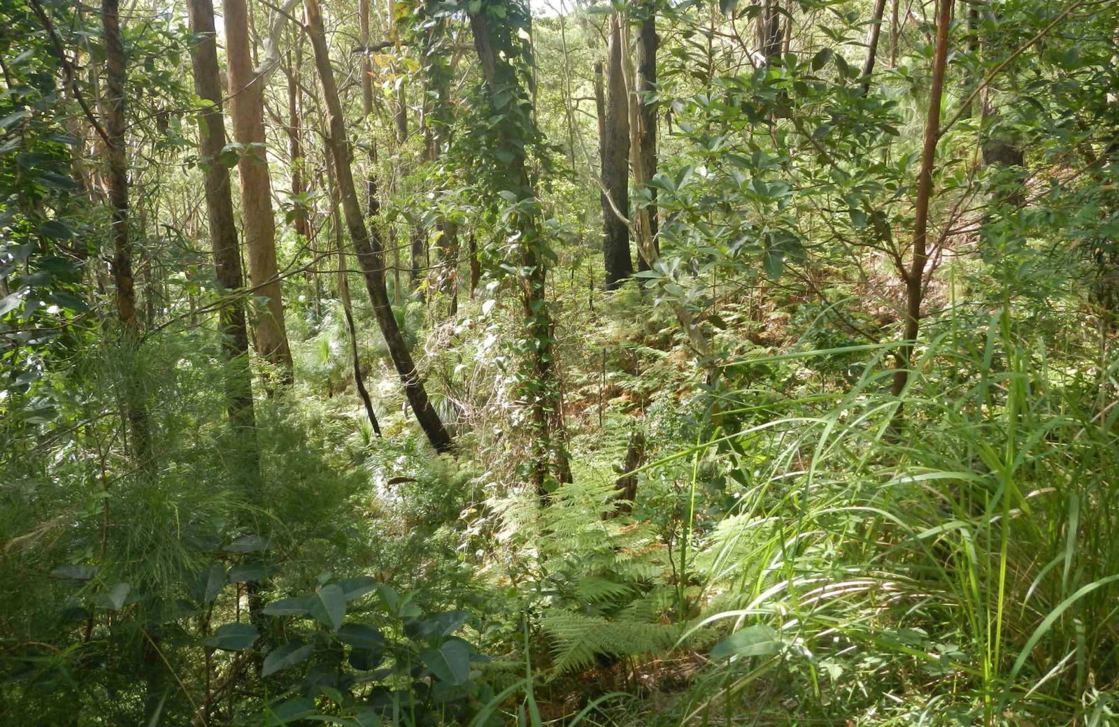 Arakoon NSW Accommodation Perth