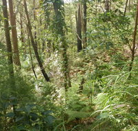 Gap Beach Walking Track - Accommodation Perth