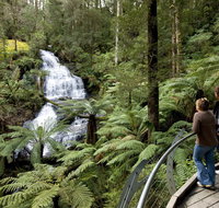 Great Otway National Park - Accommodation Perth