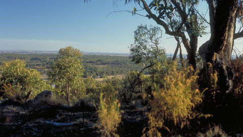 Heathcote-Graytown National Park - Accommodation Perth 0