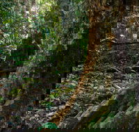 Hidden Treasure Track - Accommodation Perth