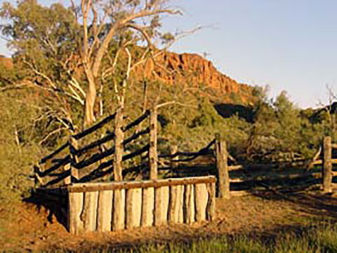 Illamurta Springs Conservation Reserve - Accommodation Perth 0