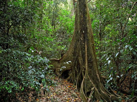 Iluka Nature Reserve - Perth Resorts 0