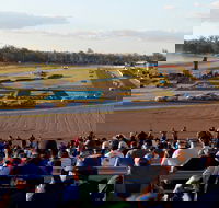 Ipswich Motorsport Precinct - Accommodation Perth