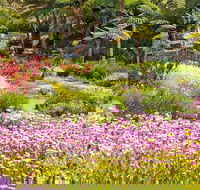 Jurassic Garden AR Experience - Accommodation Perth