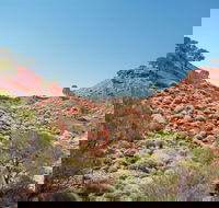 Lark Quarry Conservation Park - Accommodation Perth