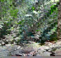 Lyrebird track - Accommodation Perth