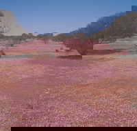 Meekatharra - Accommodation Perth