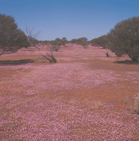 Meekatharra - Accommodation Perth 0