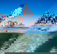 Monkey Mia - Accommodation Perth