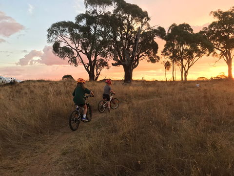 Mountain Bike Trails Tumbarumba - Accommodation Perth 2