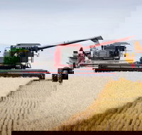 Mullaley - Accommodation Perth