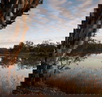 Murray-Kulkyne Regional Park - Accommodation Perth