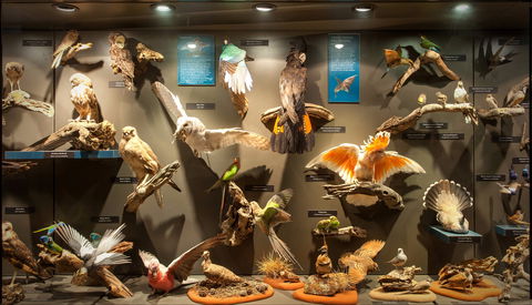 Museum Of Central Australia - Accommodation Perth 2