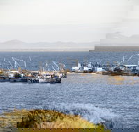 Portarlington - Accommodation Perth