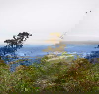 Slingsbys Trail and Syndicate Ridge Track - Accommodation Perth
