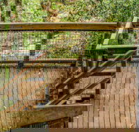 Somersby Falls walking track - Accommodation Perth