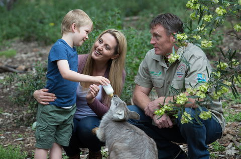 Tamworth Marsupial Park And Adventure Playground - Accommodation Perth 0