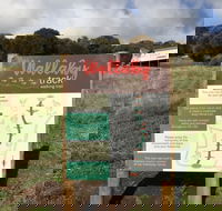 The Wallaby Track - Accommodation Perth