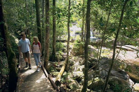 The Pioneer Valley And Eungella National Park - Accommodation Perth 1