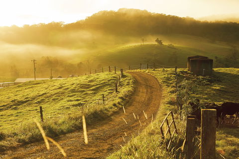 The Pioneer Valley And Eungella National Park - Accommodation Perth 2
