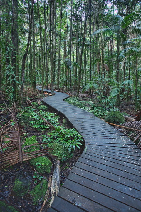 The Channon, Protesters Falls, Nimbin And Mount Nardi - Accommodation Perth 0