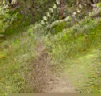 Three Views walking track - Accommodation Perth