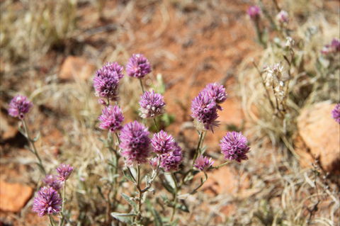 Walpa Gorge Walk - Accommodation Perth 0