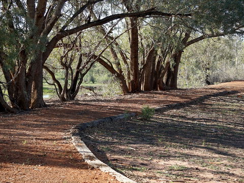 Warrego Floodplain Walking Track - Accommodation Perth 0