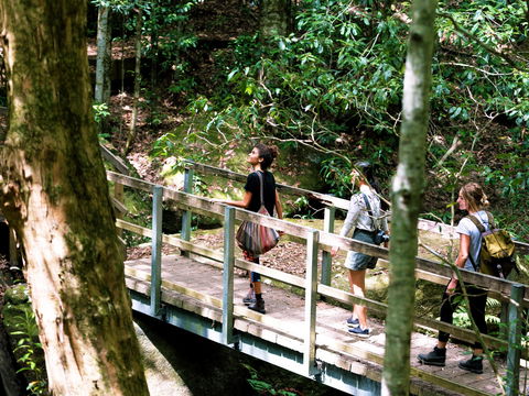 Watagans National Park - Accommodation Perth 0