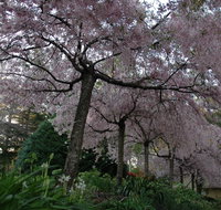 Wildwood Garden - Accommodation Perth
