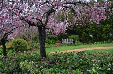 Wildwood Garden - Accommodation Perth 2