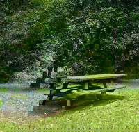 Williams River picnic area - Accommodation Perth