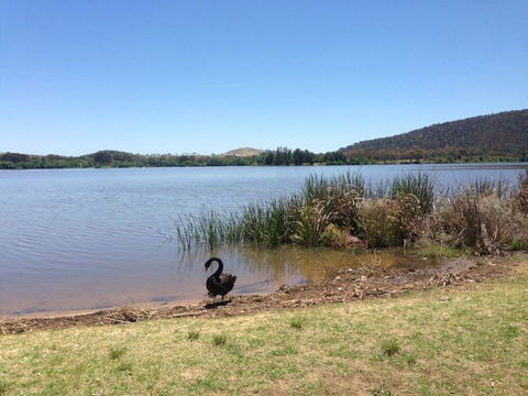 Yarralumla Bay - Perth Resorts 0