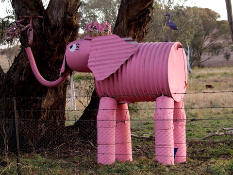 Animals On Bikes - Accommodation Perth 0