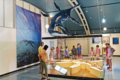 Australian Dinosaur Trail - Perth Resorts 1